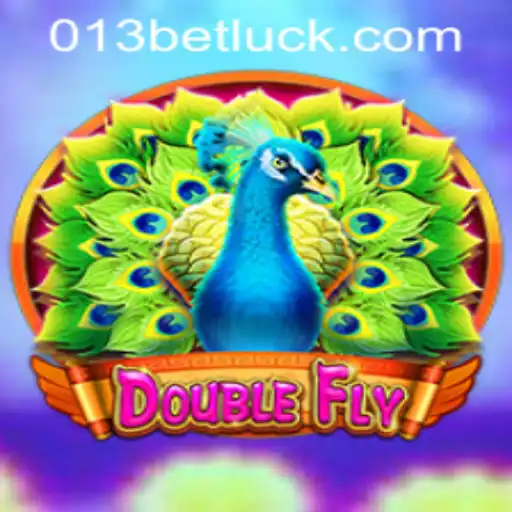 The Thrilling World of DoubleFly: A Comprehensive Guide